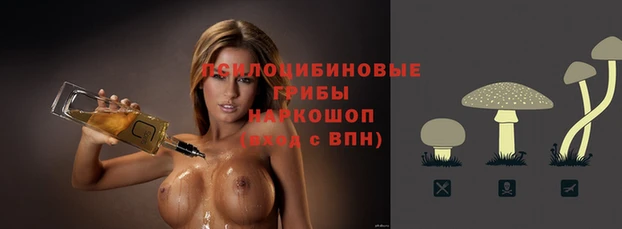 соль ск Баксан