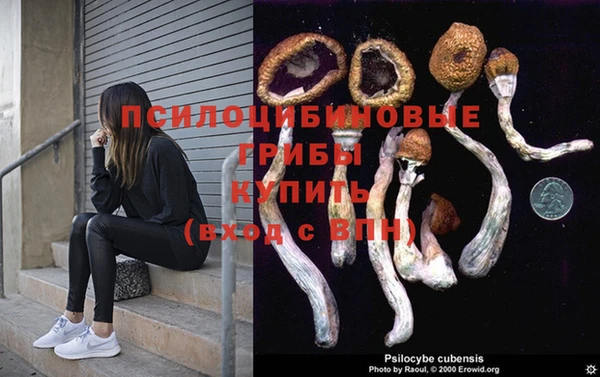 винт Балахна
