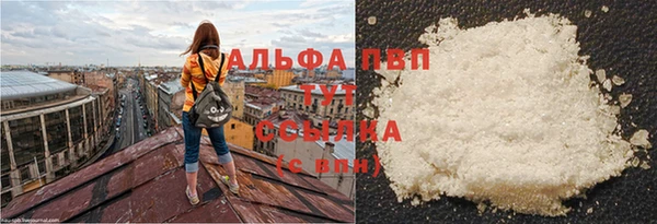 сатива Вязники